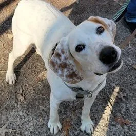 Roland  Fee Sponsored thumbnail 2