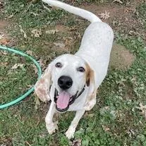 Roland  Fee Sponsored thumbnail 3