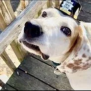 Roland  Fee Sponsored thumbnail 5