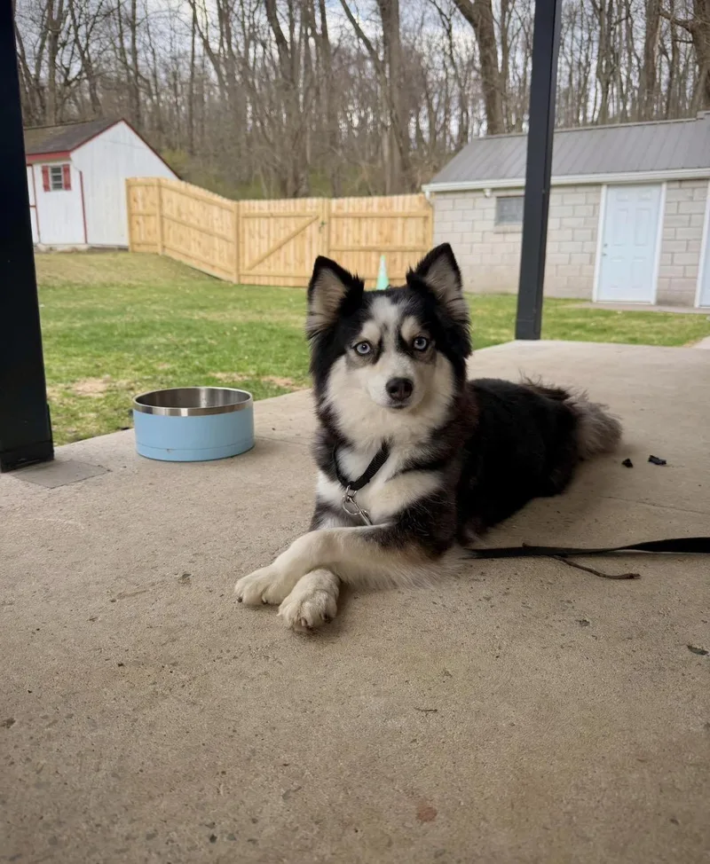 Olive & Oakley thumbnail 2