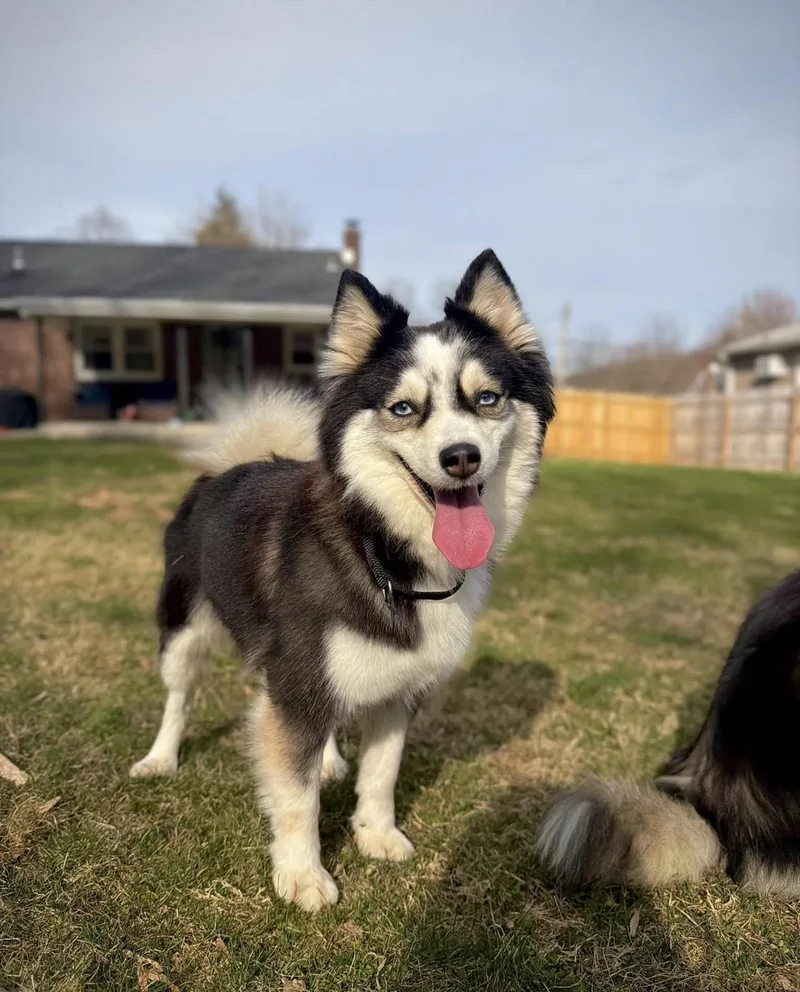 Olive & Oakley thumbnail 3