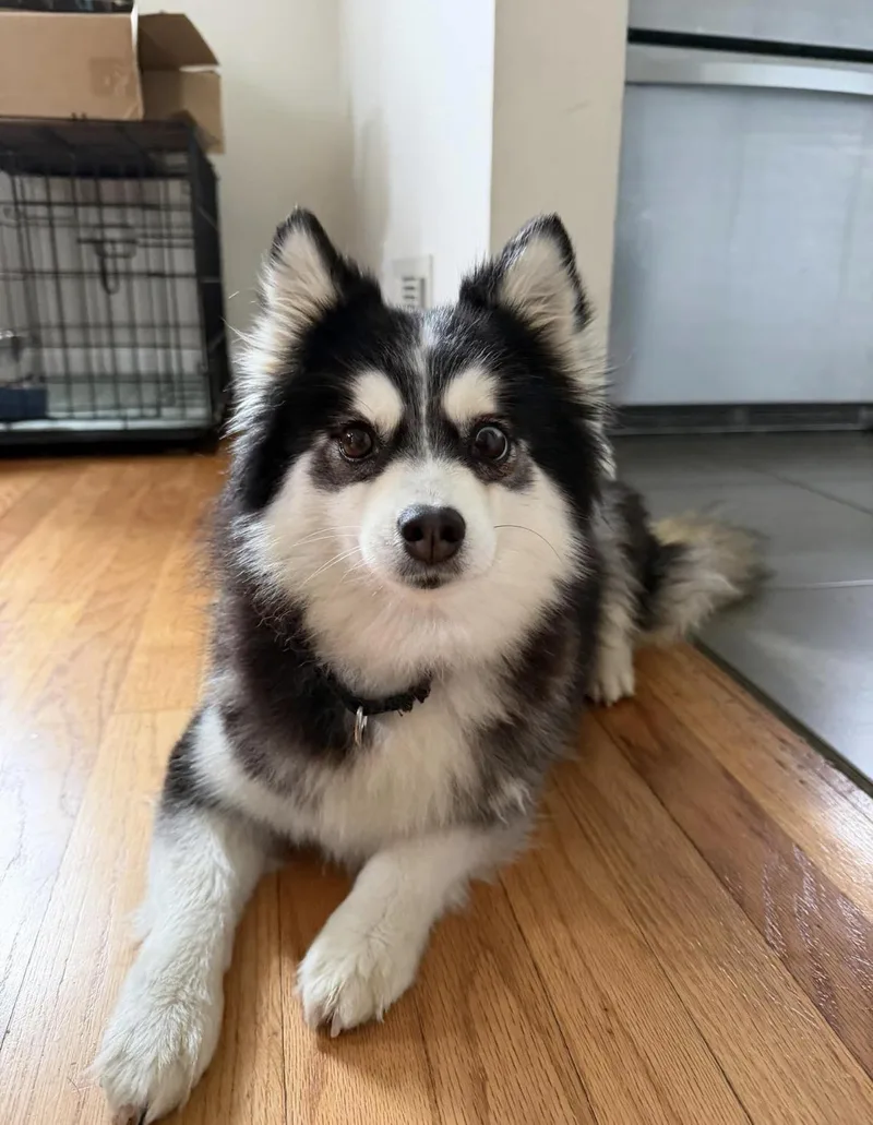 Olive & Oakley thumbnail 5