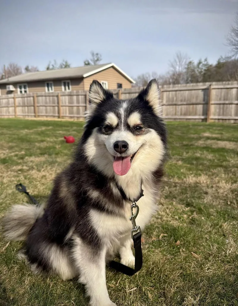 Olive & Oakley thumbnail 6