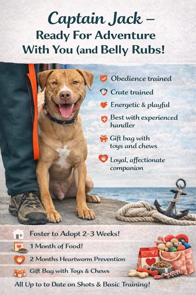 Captain Jack thumbnail 5