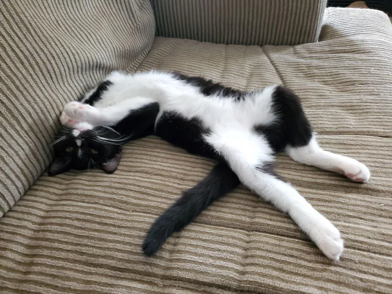 Lauren Bacall thumbnail 2