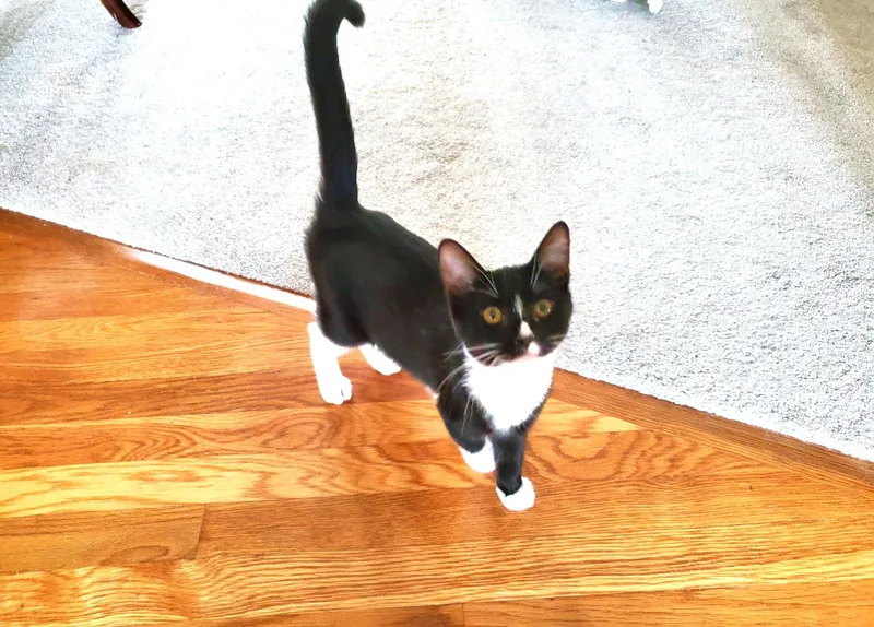 Lauren Bacall thumbnail 3