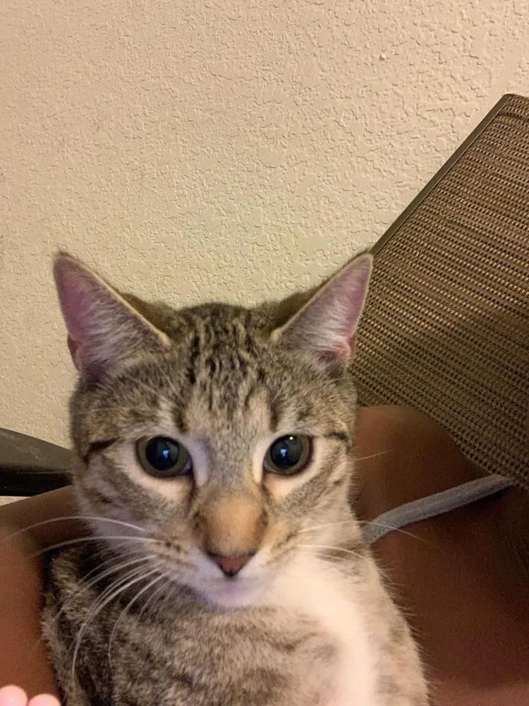 Princess thumbnail 2