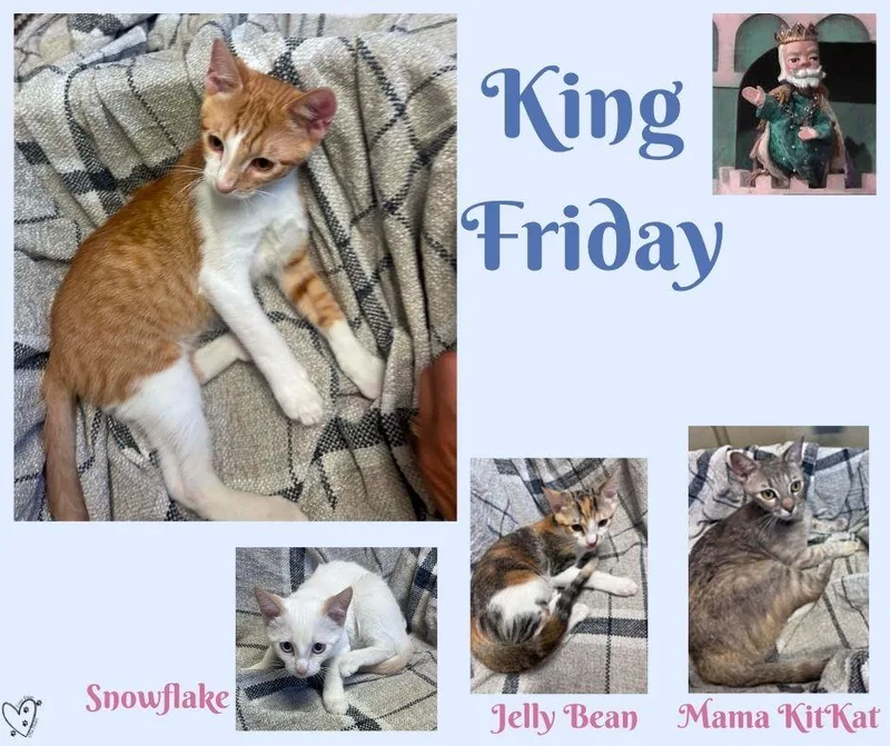 King Friday