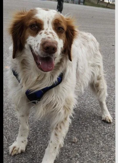 Utcharlie thumbnail 2