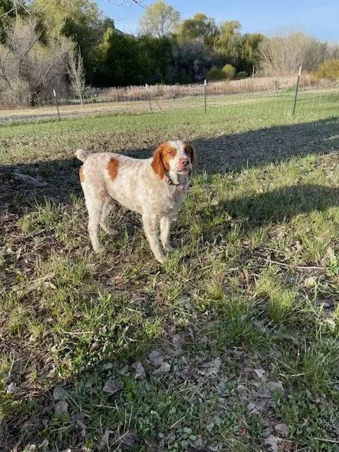 Utcharlie thumbnail 3