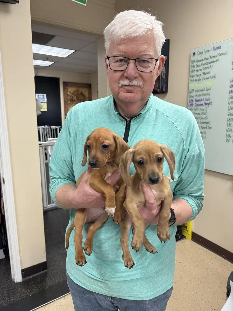 Nicky Mondrich thumbnail 3