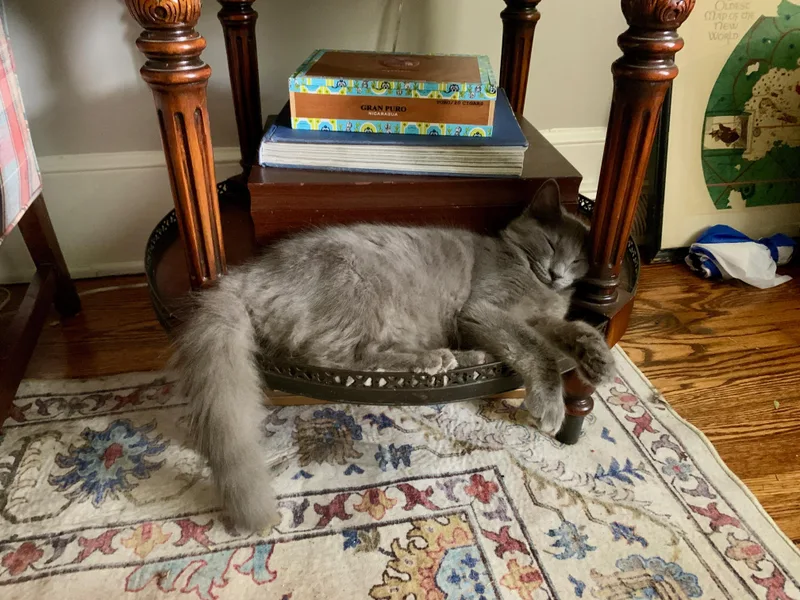 Huckleberry