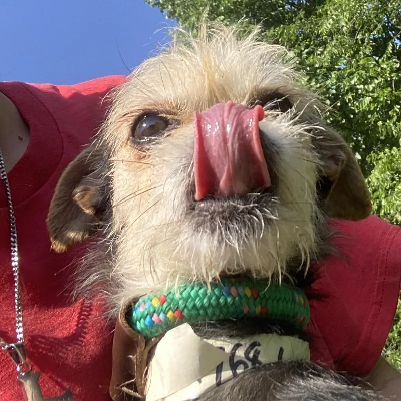 LuLu thumbnail 4