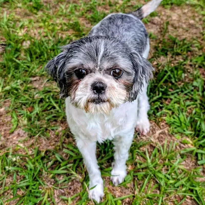 Marla Jean