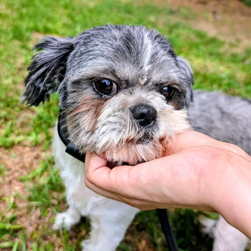Marla Jean thumbnail 3