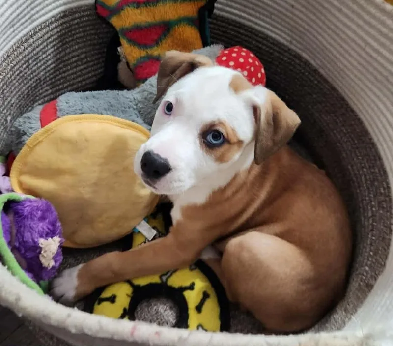 Sun Prairie thumbnail 2