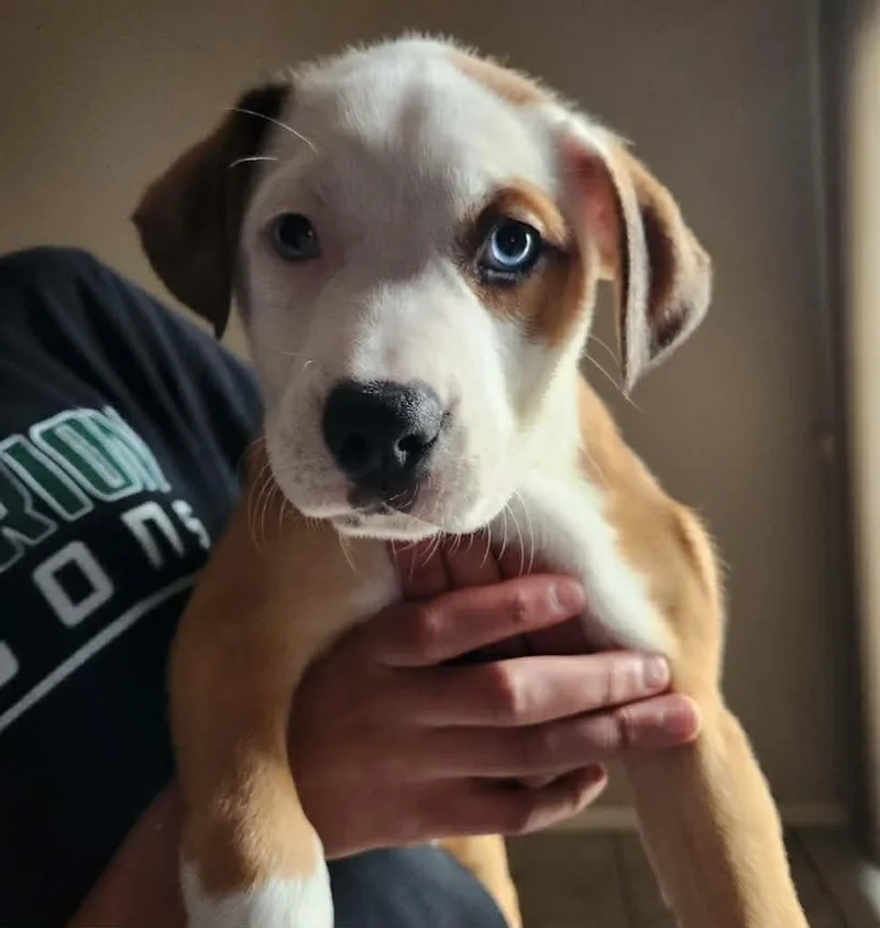 Sun Prairie thumbnail 3