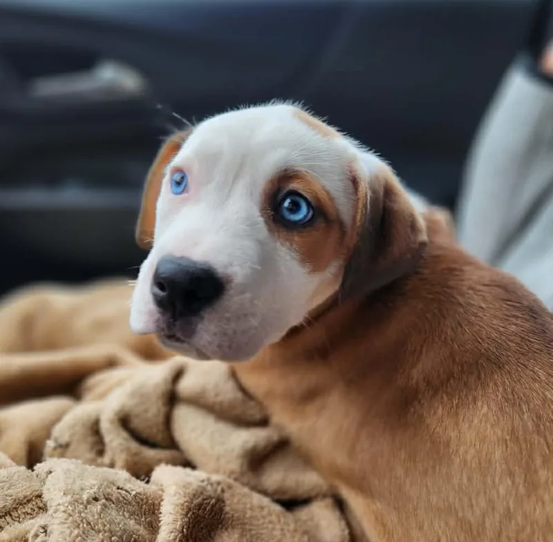 Sun Prairie thumbnail 6