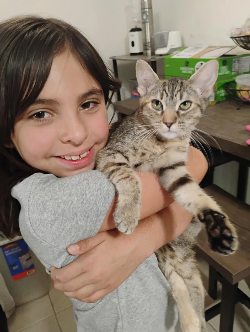 Lily thumbnail 2