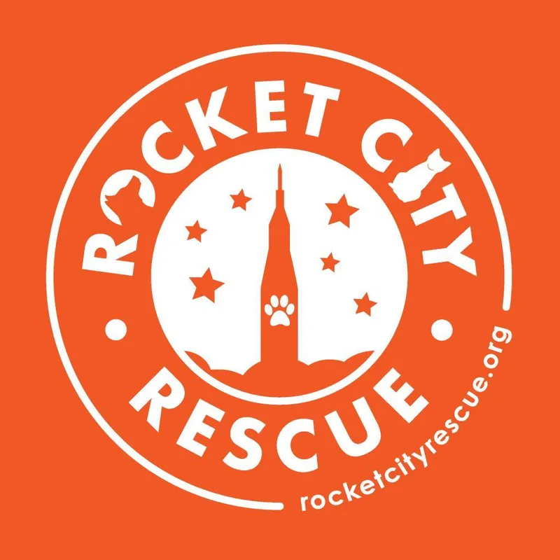 Generic Dog Application