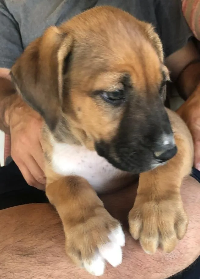 Ezzy  Russell thumbnail 2