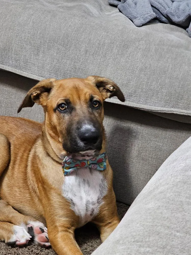 Ezzy  Russell thumbnail 4