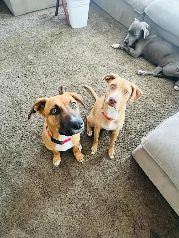 Ezzy  Russell thumbnail 6