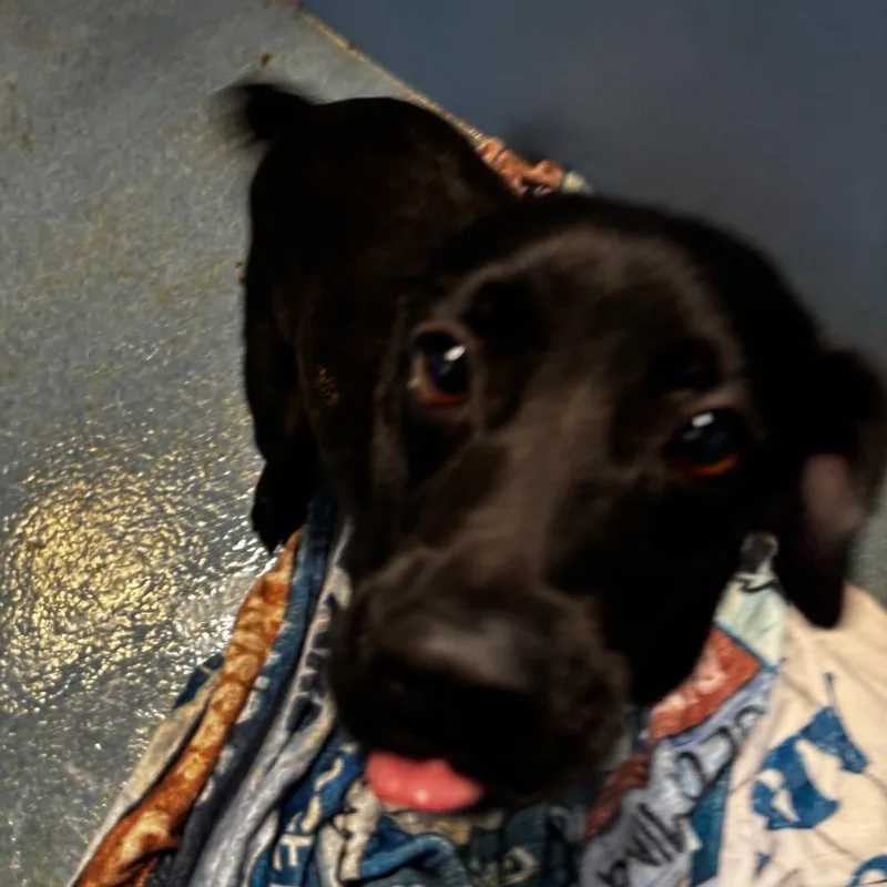 Maggie Mako thumbnail 5