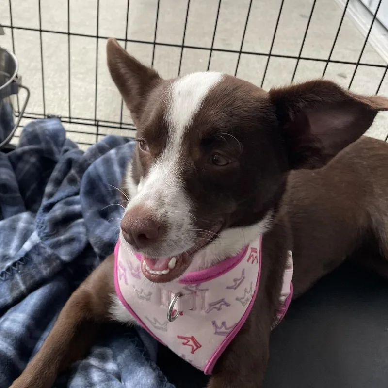 Maggie Mae thumbnail 2