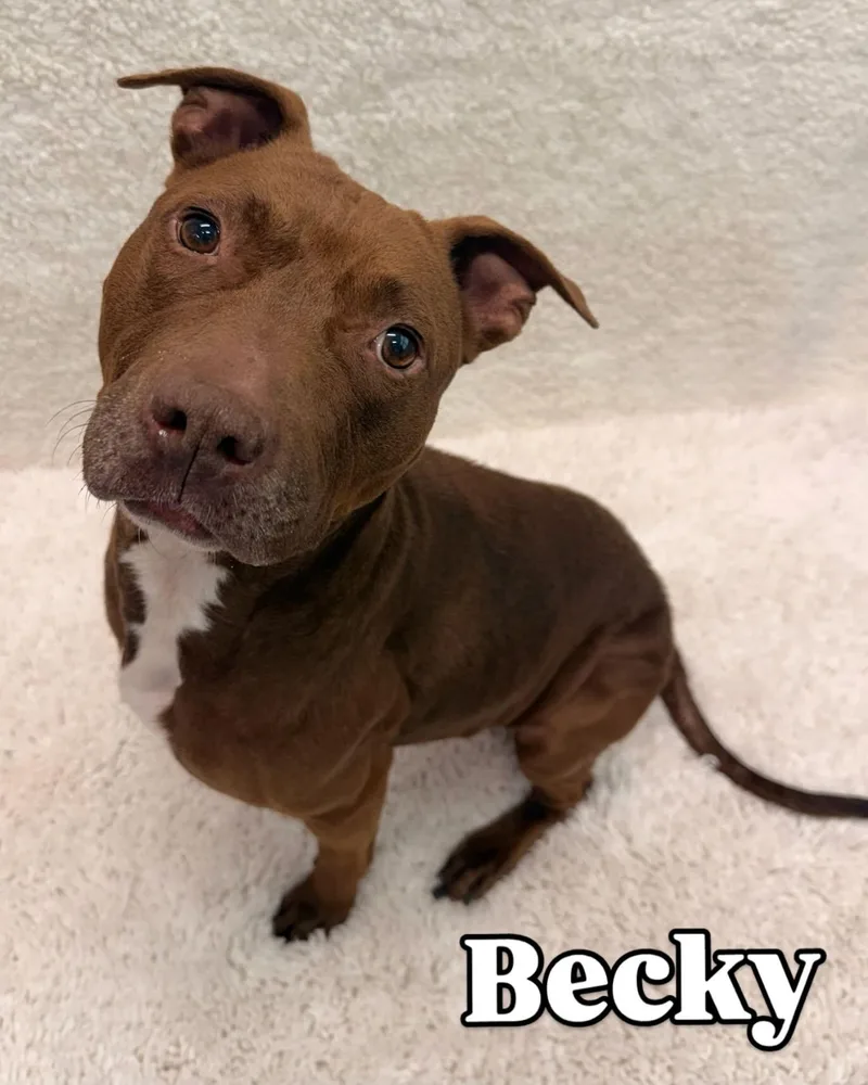 Becky Tag