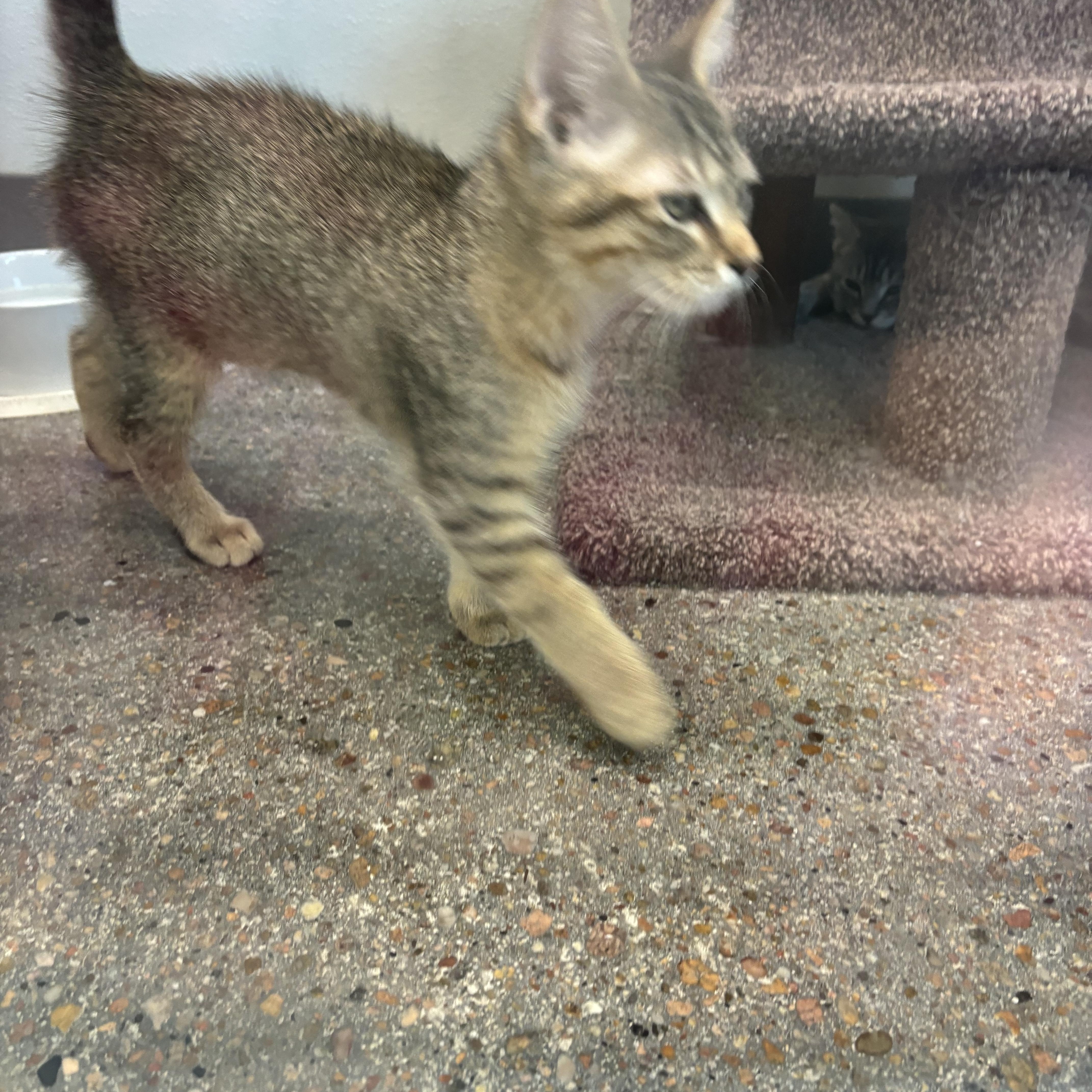 Enola Gay thumbnail 3