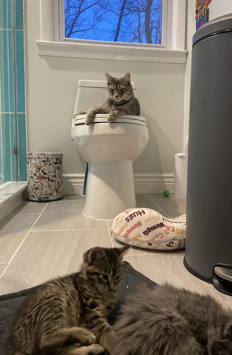 Mama Mocha thumbnail 2