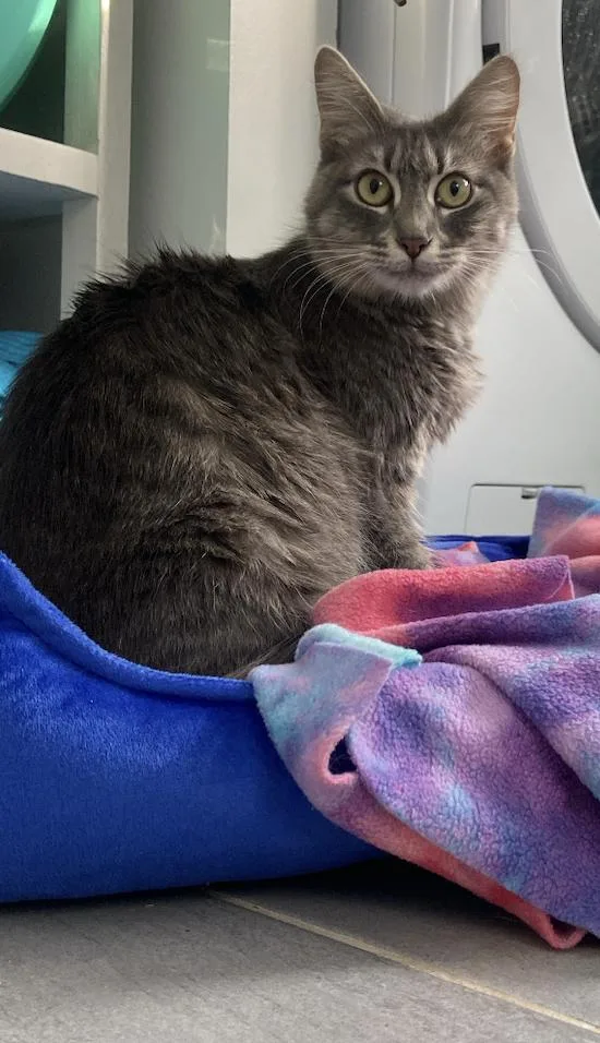 Mama Mocha thumbnail 3