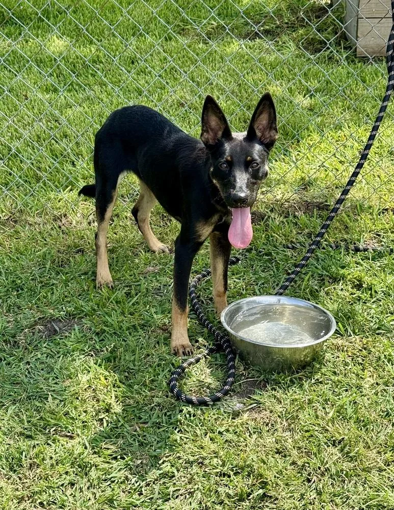 Aberdeen thumbnail 2