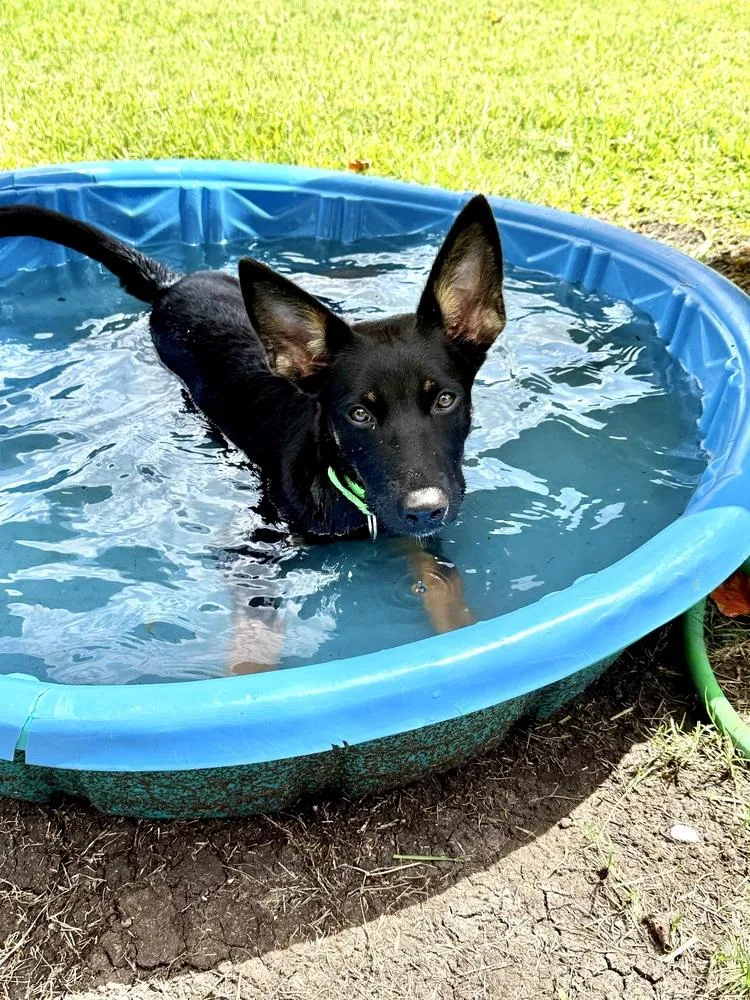 Aberdeen thumbnail 5