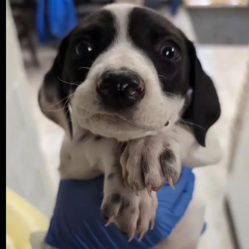 Freddie thumbnail 3
