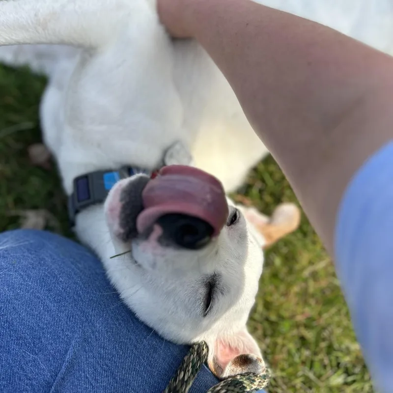 Little Lady thumbnail 2