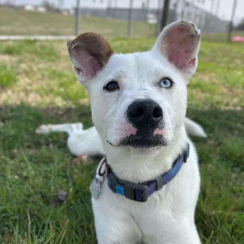 Little Lady thumbnail 3