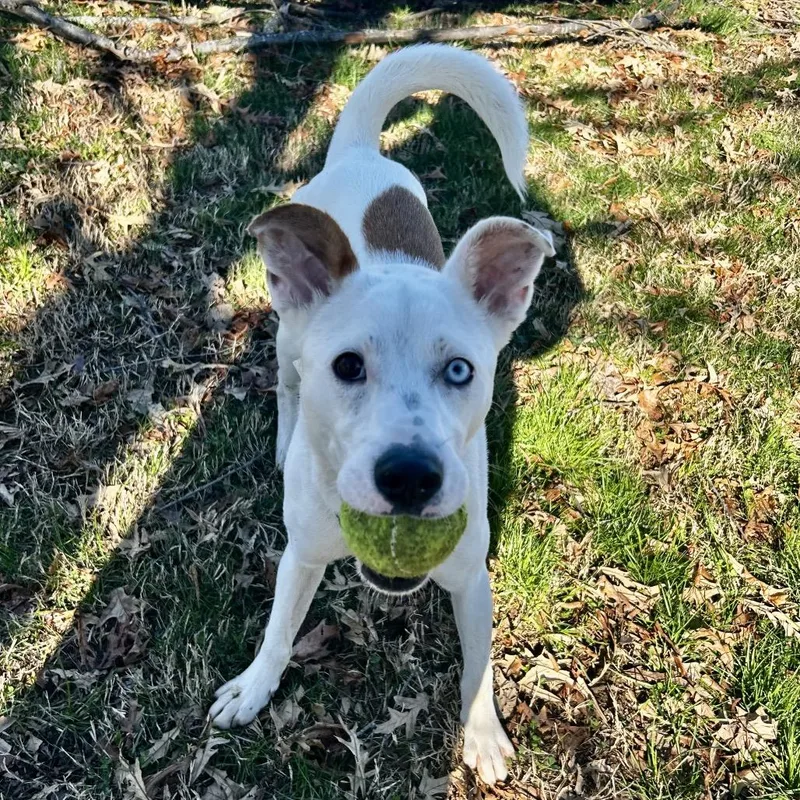 Little Lady thumbnail 4