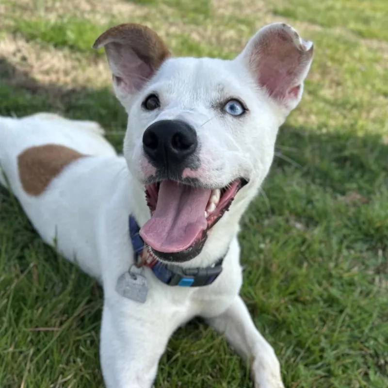 Little Lady thumbnail 5