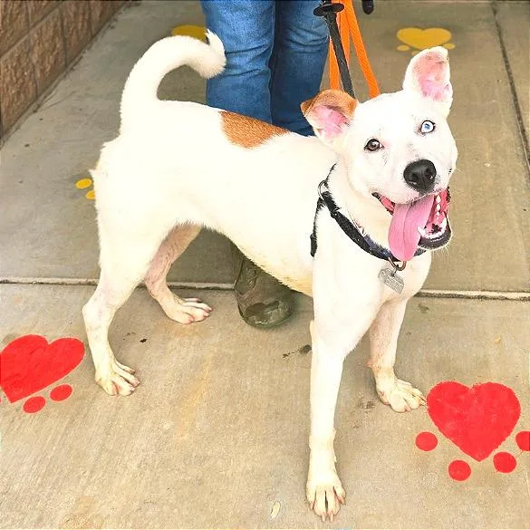 Little Lady thumbnail 6