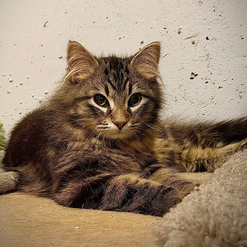 Kendall & Rory thumbnail 2