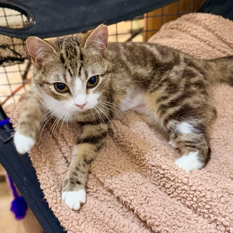 Kendall & Rory thumbnail 3