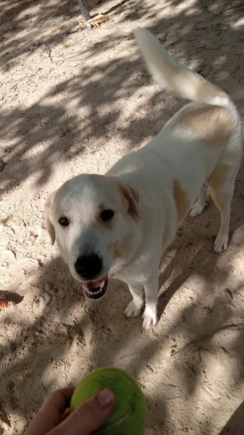 Zac thumbnail 4