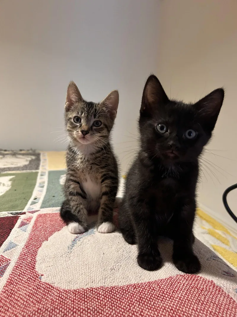 Billie And Justin thumbnail 2