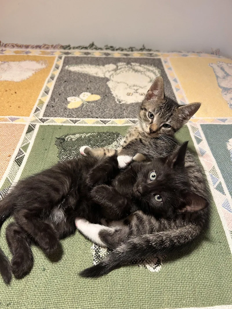 Billie And Justin thumbnail 3