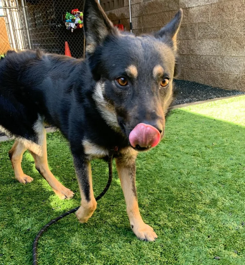 I'm Gustin And I thumbnail 2