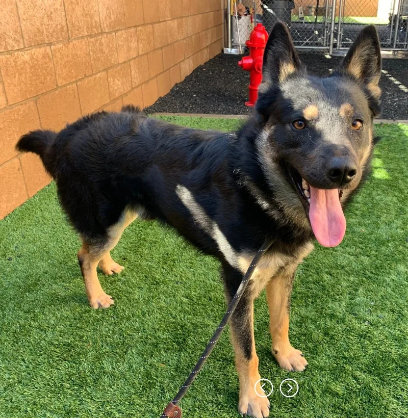 I'm Gustin And I thumbnail 3