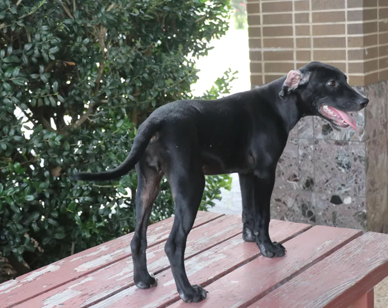 Kit Keller thumbnail 2