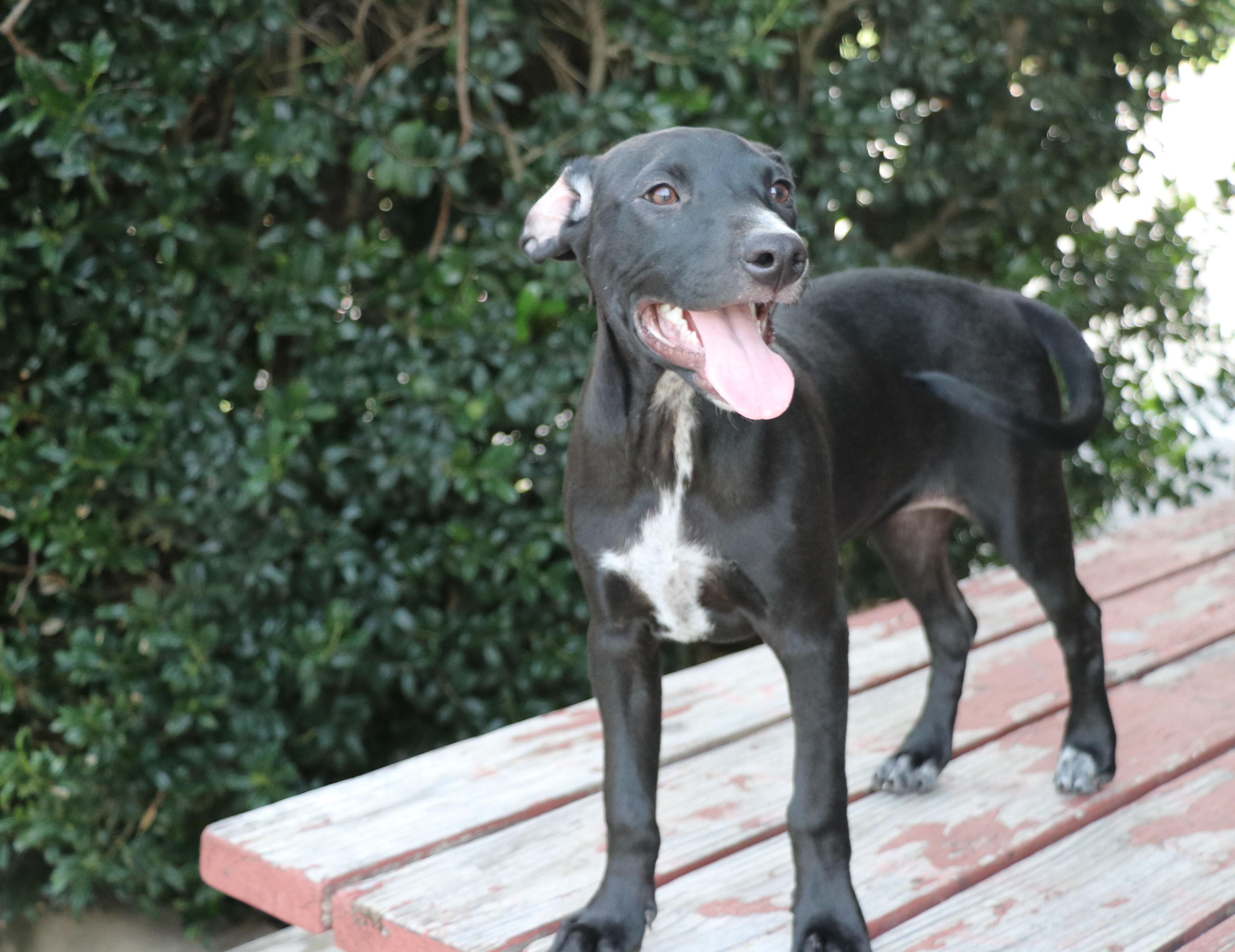 Kit Keller thumbnail 3